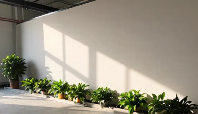 考试辅导管理方法中的理解误区与实践建议
